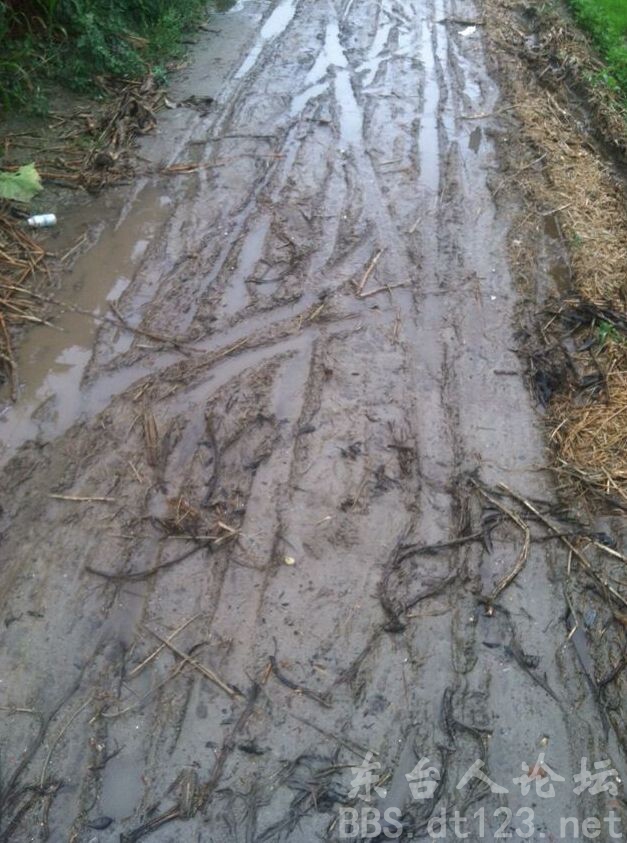 网友抱怨:大雨过后东台部分乡镇道路泥泞不堪难以通行